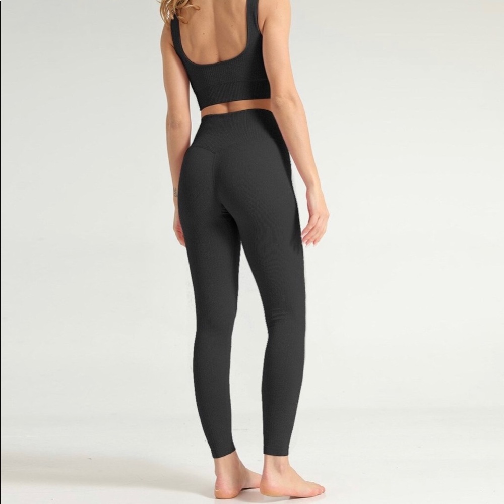 Astoria Seamless Ribbed Leggings
